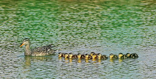 经典复活 《Powerslave: Exhumed高清复刻版》公布